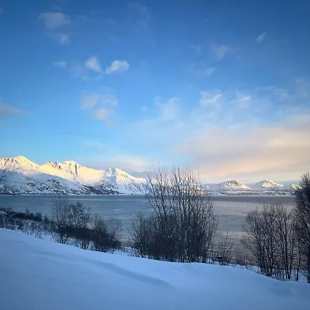 Leilighet Beautiful View - Close To The Sea, Mountains And Nature *
